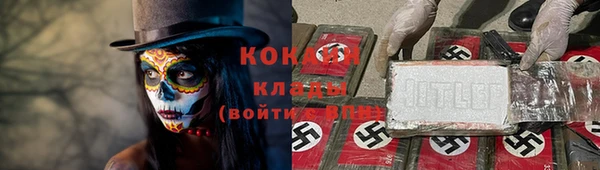 гашик Каменногорск