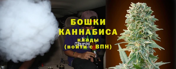 крисы Анжеро-Судженск
