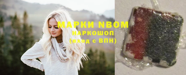 дурь Каменка