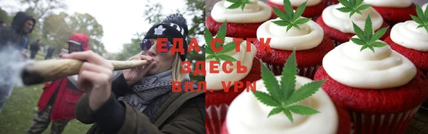 крисы Анжеро-Судженск