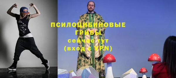 дурь Каменка
