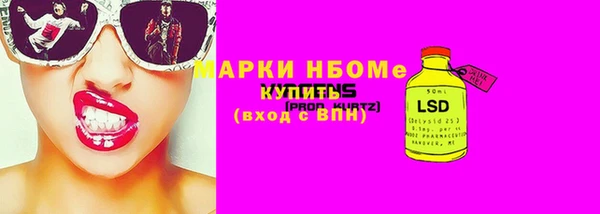 дурь Каменка