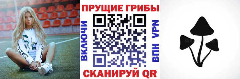 Галлюциногенные грибы Psilocybe  Котово 